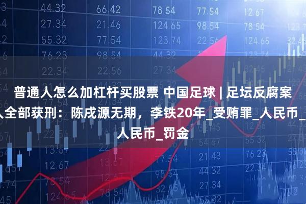 普通人怎么加杠杆买股票 中国足球 | 足坛反腐案18人全部获刑：陈戌源无期，李铁20年_受贿罪_人民币_罚金